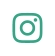 instagram button