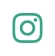 instagram button